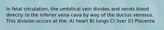 In fetal circulation, the umbilical vein divides and sends blood directly to the inferior vena cava by way of the ductus venosus. This division occurs at the: A) heart B) lungs C) liver D) Placenta