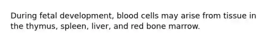 During fetal development, blood cells may arise from tissue in the thymus, spleen, liver, and red bone marrow.