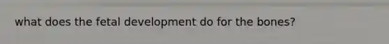 what does the fetal development do for the bones?