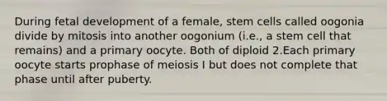 During fetal development of a female, stem cells called oogonia divide by mitosis into another oogonium (i.e., a stem cell that remains) and a primary oocyte. Both of diploid 2.Each primary oocyte starts prophase of meiosis I but does not complete that phase until after puberty.