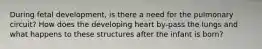 During fetal development, is there a need for the pulmonary circuit? How does the developing heart by-pass the lungs and what happens to these structures after the infant is born?