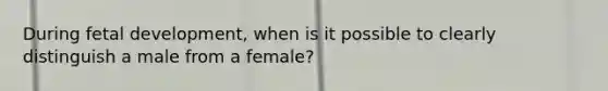 During fetal development, when is it possible to clearly distinguish a male from a female?