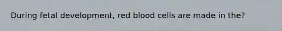 During fetal development, red blood cells are made in the?