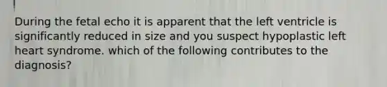 During the fetal echo it is apparent that the left ventricle is significantly reduced in size and you suspect hypoplastic left heart syndrome. which of the following contributes to the diagnosis?