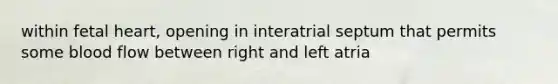 within fetal heart, opening in interatrial septum that permits some blood flow between right and left atria