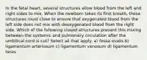 In the fetal heart, several structures allow blood from the left and right sides to mix. When the newborn takes its first breath, these structures must close to ensure that oxygenated blood from the left side does not mix with deoxygenated blood from the right side. Which of the following closed structures prevent this mixing between the systemic and pulmonary circulation after the umbilical cord is cut? Select all that apply. a) fossa ovalis b) ligamentum arteriosum c) ligamentum venosum d) ligamentum teres