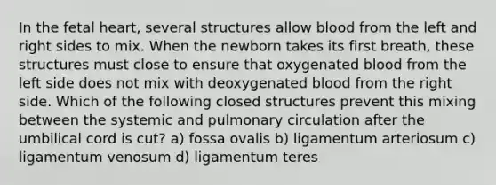 In the fetal heart, several structures allow blood from the left and right sides to mix. When the newborn takes its first breath, these structures must close to ensure that oxygenated blood from the left side does not mix with deoxygenated blood from the right side. Which of the following closed structures prevent this mixing between the systemic and pulmonary circulation after the umbilical cord is cut? a) fossa ovalis b) ligamentum arteriosum c) ligamentum venosum d) ligamentum teres