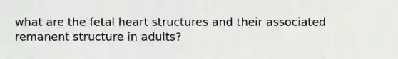 what are the fetal heart structures and their associated remanent structure in adults?