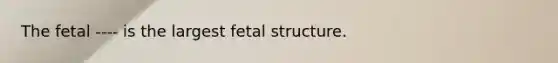 The fetal ---- is the largest fetal structure.