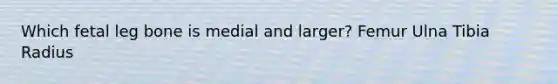 Which fetal leg bone is medial and larger? Femur Ulna Tibia Radius