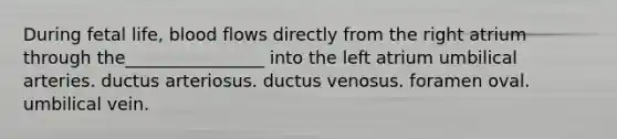 During fetal life, blood flows directly from the right atrium through the________________ into the left atrium umbilical arteries. ductus arteriosus. ductus venosus. foramen oval. umbilical vein.