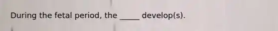 During the fetal period, the _____ develop(s).