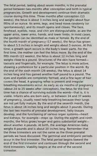 The fetal period, lasting about seven months, is the prenatal period between two months after conception and birth in typical pregnancies. Growth and development continue their dramatic course during this time. Three months after conception (13 weeks), the fetus is about 3 inches long and weighs about four-fifths of an ounce. Its arms, legs, and head move randomly (or spontaneously), and its mouth opens and closes. The face, forehead, eyelids, nose, and chin are distinguishable, as are the upper arms, lower arms, hands, and lower limbs. In most cases, the genitals can be identified as male or female. By the end of the fourth month of pregnancy (17 weeks), the fetus has grown to about 5.5 inches in length and weighs about 5 ounces. At this time, a growth spurt occurs in the body's lower parts. For the first time, the mother can feel the fetus move. By the end of the fifth month (22 weeks), the fetus is about 12 inches long and weighs close to a pound. Structures of the skin have formed—toenails and fingernails, for example. The fetus is more active, showing a preference for a particular position in the womb. By the end of the sixth month (26 weeks), the fetus is about 14 inches long and has gained another half pound to a pound. The eyes and eyelids are completely formed, and a fine layer of hair covers the head. A grasping reflex is present and irregular breathing movements occur. As early as six months of pregnancy (about 24 to 25 weeks after conception), the fetus for the first time has a chance of surviving outside the womb—that is, it is viable. Infants who are born early, or between 24 and 37 weeks of pregnancy, usually need help breathing because their lungs are not yet fully mature. By the end of the seventh month, the fetus is about 16 inches long and weighs about 3 pounds. During the last two months of prenatal development, fatty tissues develop, and the functioning of various organ systems—heart and kidneys, for example—steps up. During the eighth and ninth months, the fetus grows longer and gains substantial weight—about another 4 pounds. At birth, the average American baby weighs 8 pounds and is about 20 inches long. Remember that the three trimesters are not the same as the three prenatal periods we have discussed. The germinal and embryonic periods occur in the first trimester. The fetal period begins toward the end of the first trimester and continues through the second and third trimesters. Viability begins at the end of the second trimester.