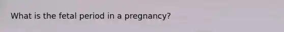 What is the fetal period in a pregnancy?