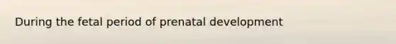 During the fetal period of prenatal development