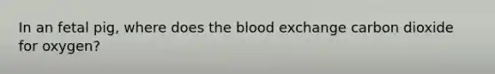 In an fetal pig, where does the blood exchange carbon dioxide for oxygen?