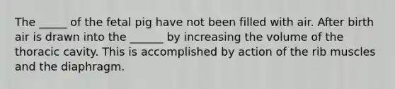 The _____ of the fetal pig have not been filled with air. After birth air is drawn into the ______ by increasing the volume of the thoracic cavity. This is accomplished by action of the rib muscles and the diaphragm.