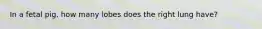 In a fetal pig, how many lobes does the right lung have?