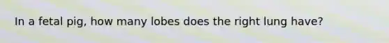 In a fetal pig, how many lobes does the right lung have?