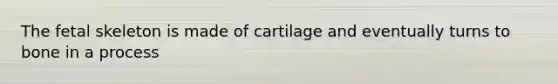 The fetal skeleton is made of cartilage and eventually turns to bone in a process