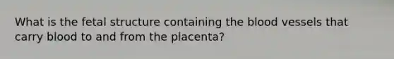 What is the fetal structure containing the blood vessels that carry blood to and from the placenta?