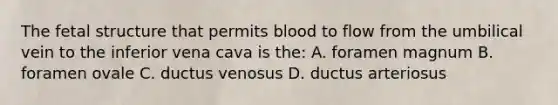 The fetal structure that permits blood to flow from the umbilical vein to the inferior vena cava is the: A. foramen magnum B. foramen ovale C. ductus venosus D. ductus arteriosus