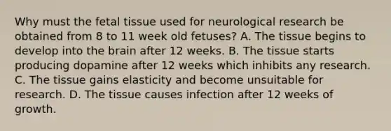 Why must the fetal tissue used for neurological research be obtained from 8 to 11 week old fetuses? A. The tissue begins to develop into the brain after 12 weeks. B. The tissue starts producing dopamine after 12 weeks which inhibits any research. C. The tissue gains elasticity and become unsuitable for research. D. The tissue causes infection after 12 weeks of growth.