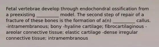 Fetal vertebrae develop through endochondral ossification from a preexisting __________ model. The second step of repair of a fracture of these bones is the formation of a(n) __________ callus. -intramembranous; bony -hyaline cartilage; fibrocartilaginous -areolar connective tissue; elastic cartilage -dense irregular connective tissue; intramembranous