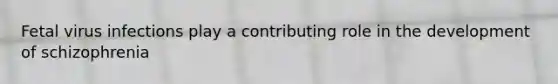 Fetal virus infections play a contributing role in the development of schizophrenia