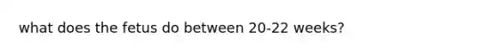what does the fetus do between 20-22 weeks?