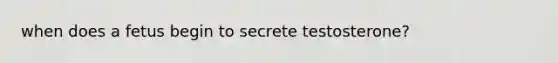 when does a fetus begin to secrete testosterone?