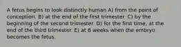 A fetus begins to look distinctly human A) from the point of conception. B) at the end of the first trimester. C) by the beginning of the second trimester. D) for the first time, at the end of the third trimester. E) at 8 weeks when the embryo becomes the fetus.