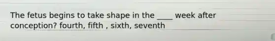 The fetus begins to take shape in the ____ week after conception? fourth, fifth , sixth, seventh