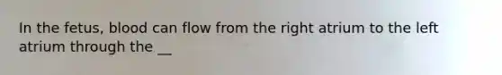 In the fetus, blood can flow from the right atrium to the left atrium through the __