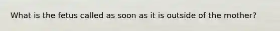 What is the fetus called as soon as it is outside of the mother?