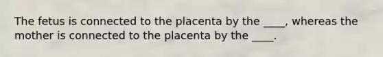 The fetus is connected to the placenta by the ____, whereas the mother is connected to the placenta by the ____.