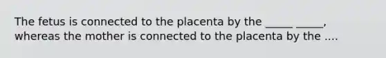 The fetus is connected to the placenta by the _____ _____, whereas the mother is connected to the placenta by the ....