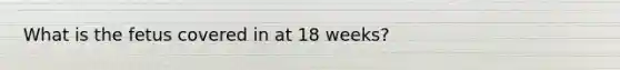 What is the fetus covered in at 18 weeks?