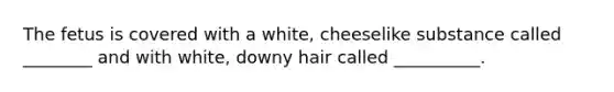 The fetus is covered with a white, cheeselike substance called ________ and with white, downy hair called __________.