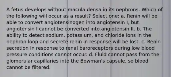 A fetus develops without macula densa in its nephrons. Which of the following will occur as a result? Select one: a. Renin will be able to convert angiotensinogen into angiotensin I, but angiotensin I cannot be converted into angiotensin II. b. The ability to detect sodium, potassium, and chloride ions in the nephron loop and secrete renin in response will be lost. c. Renin secretion in response to renal baroreceptors during low blood pressure conditions cannot occur. d. Fluid cannot pass from the glomerular capillaries into the Bowman's capsule, so blood cannot be filtered.