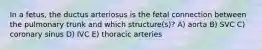 In a fetus, the ductus arteriosus is the fetal connection between the pulmonary trunk and which structure(s)? A) aorta B) SVC C) coronary sinus D) IVC E) thoracic arteries