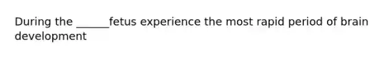 During the ______fetus experience the most rapid period of brain development