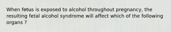 When fetus is exposed to alcohol throughout pregnancy, the resulting fetal alcohol syndrome will affect which of the following organs ?