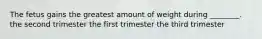The fetus gains the greatest amount of weight during ________. the second trimester the first trimester the third trimester