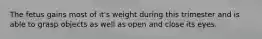 The fetus gains most of it's weight during this trimester and is able to grasp objects as well as open and close its eyes.