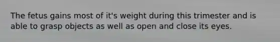 The fetus gains most of it's weight during this trimester and is able to grasp objects as well as open and close its eyes.