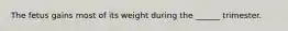 The fetus gains most of its weight during the ______ trimester.