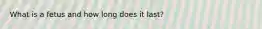 What is a fetus and how long does it last?