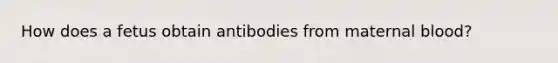 How does a fetus obtain antibodies from maternal blood?