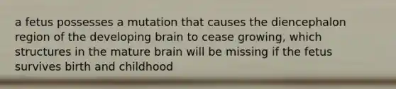 a fetus possesses a mutation that causes the diencephalon region of the developing brain to cease growing, which structures in the mature brain will be missing if the fetus survives birth and childhood